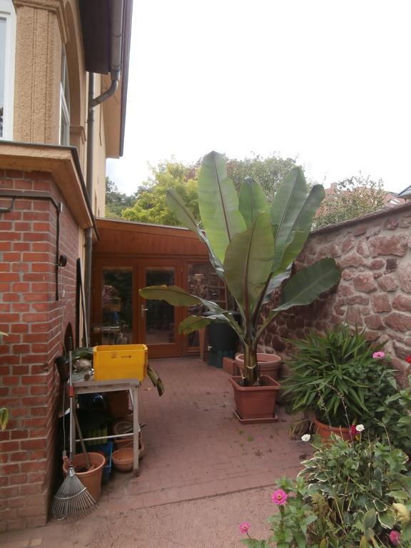Ferienwohnung Saaleblick Halle  Esterno foto